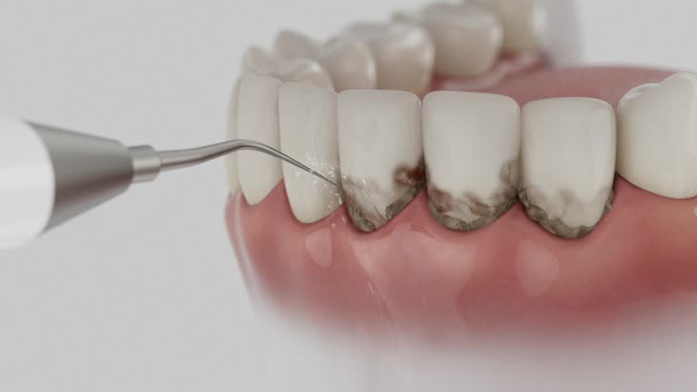 Reliable Dental contractor in Newington, VA by Dentist Open Now